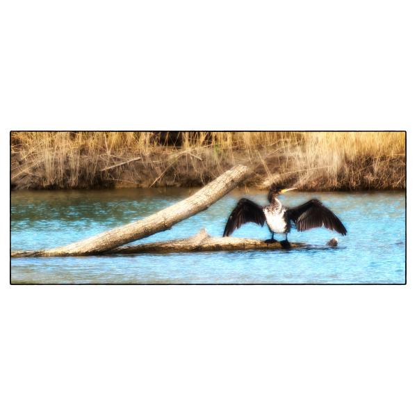 PHOTO84, CLUB, 84 , LUBERON